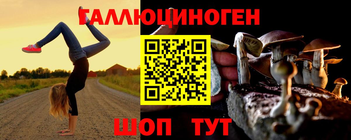 Озёрск  Галлюциногенные грибы прущие грибы  Вход с VPN 